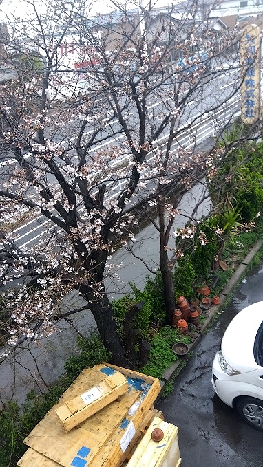 共和実業のゆるーい日常の画像