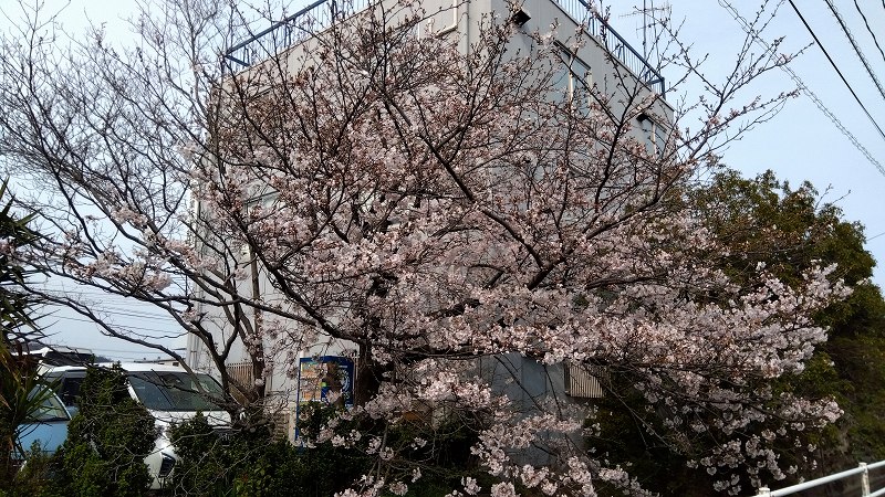 共和実業のゆるーい日常の画像